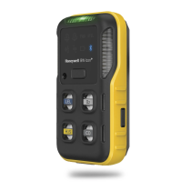 Detector descartável BW ícone mentira / O2 / CO / H2S