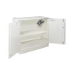 Armoire ignifuge à 2 portes pour batteries lithium prééquipée avec 1 étagère E04LI + 1 EX100LI (extincteur)