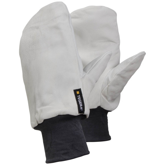 Gants en cuir avec doublure d'hiver Cat II TEGERA 10