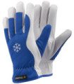 Winter gloves for precision work TEGERA 217 (6 pairs)