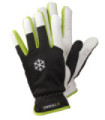 Protective gloves for slightly cold environments TEGERA 235 (6 pairs)