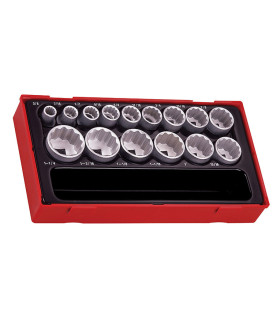 Set di chiavi a bussola da 1/2" con vassoio AF (15 pezzi) TT1215AF TENGTOOLS