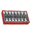 Gioco di dadi con punta esagonale e TX di 1/2" di lunghezza TT1 | 15 pezzi TENGTOOLS