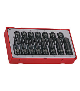 Jeu de douilles à chocs hexagonales de 3/8" et 1/2" DIN TT1 15 pièces | TENGTOOLS