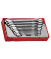 Set di chiavi a cricchetto R TT1 11 pezzi TENGTOOLS