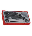 Set di chiavi a cricchetto a stella TT1 (6 pezzi) TTRORS TENGTOOLS