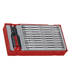 12-piece double-ended screwdriver set, TT TENGTOOLS tray