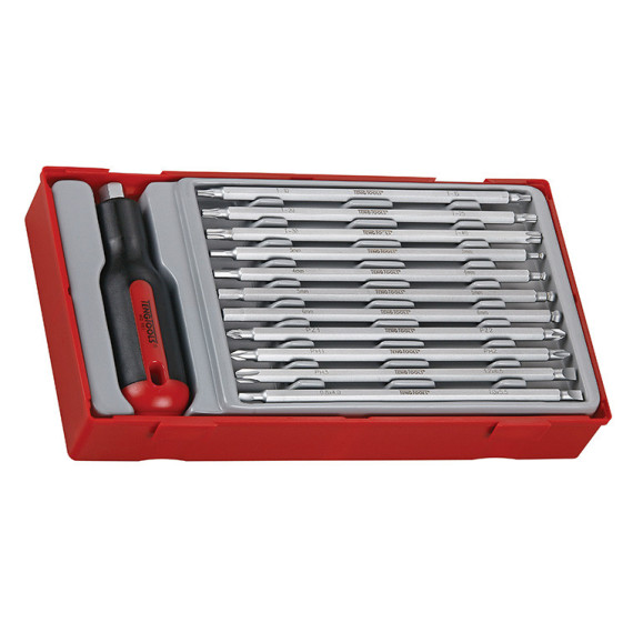 12-piece double-ended screwdriver set, TT TENGTOOLS tray