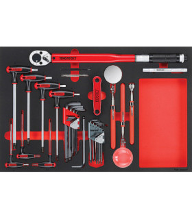 Set di Chiavi Dinamometriche e Esagonali TengTools da 37 pezzi TENGTOOLS