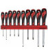 Set di cacciaviti da 10 pezzi, supporto da parete WRMD10N TENGTOOLS