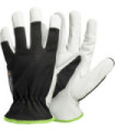 Basic affordable glove TEGERA 511