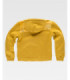 Herren-Sweatshirt TYER mit Kapuze und innenliegendem Kordelzug zur Anpassung. 12109103